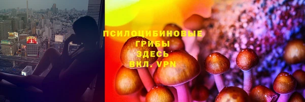 тгк Абинск