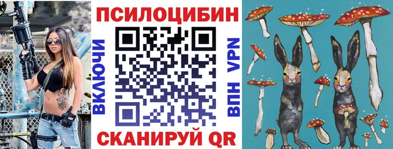 купить наркоту Нальчик Псилоцибиновые грибы прущие грибы