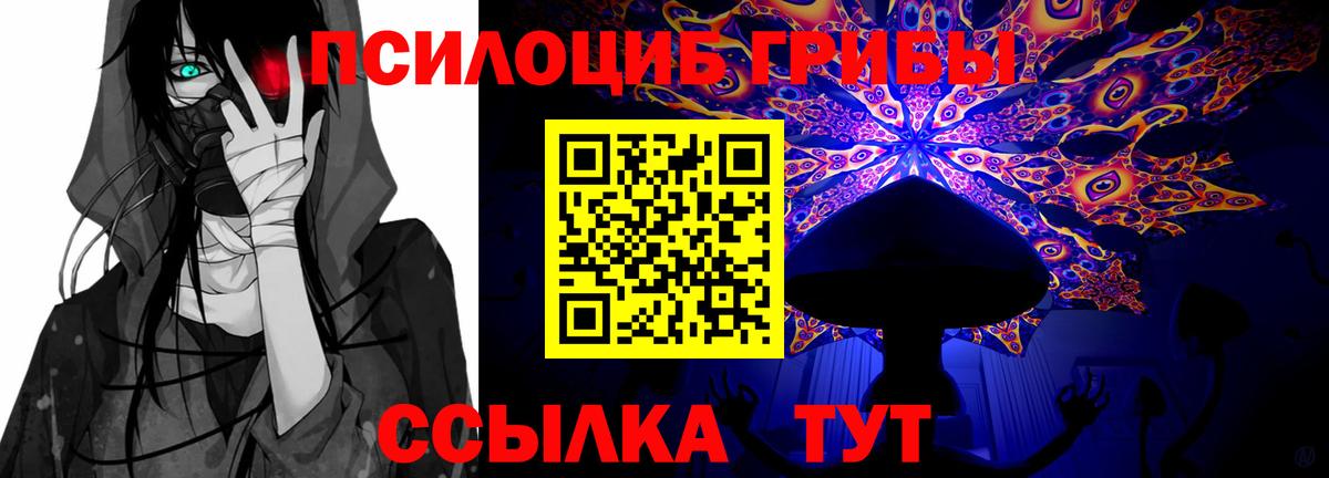 Галлюциногенные грибы GOLDEN TEACHER Нальчик
