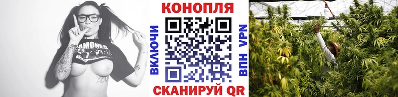 дарнет шоп  Нальчик  Канабис гибрид 