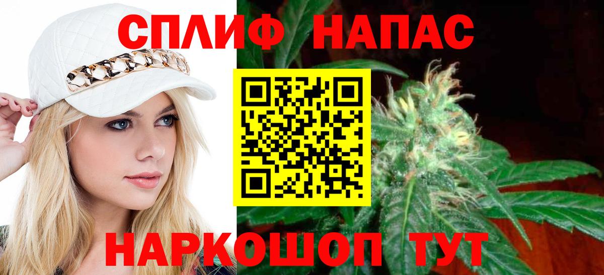 Канабис сатива Нальчик